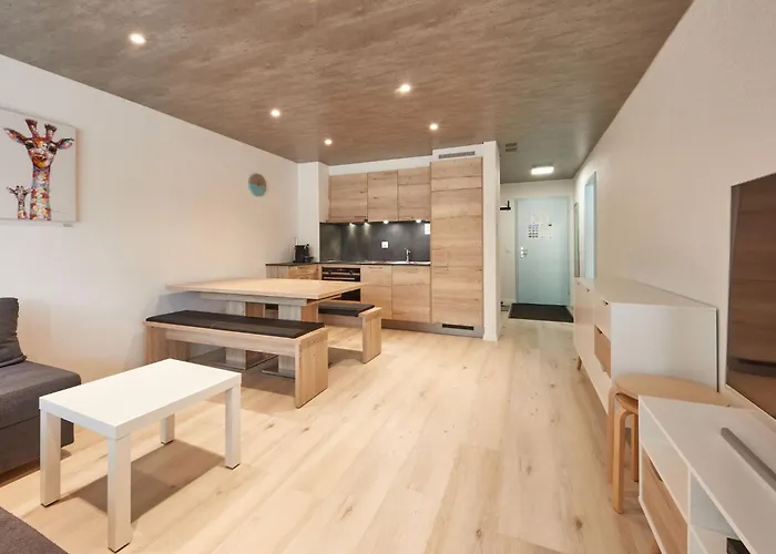 Flache 204 By Interhome Gryon